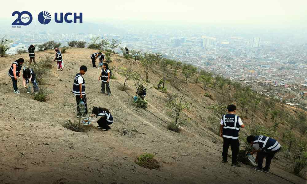 Ingeniería Ambiental UCH lidera jornada de reforestación