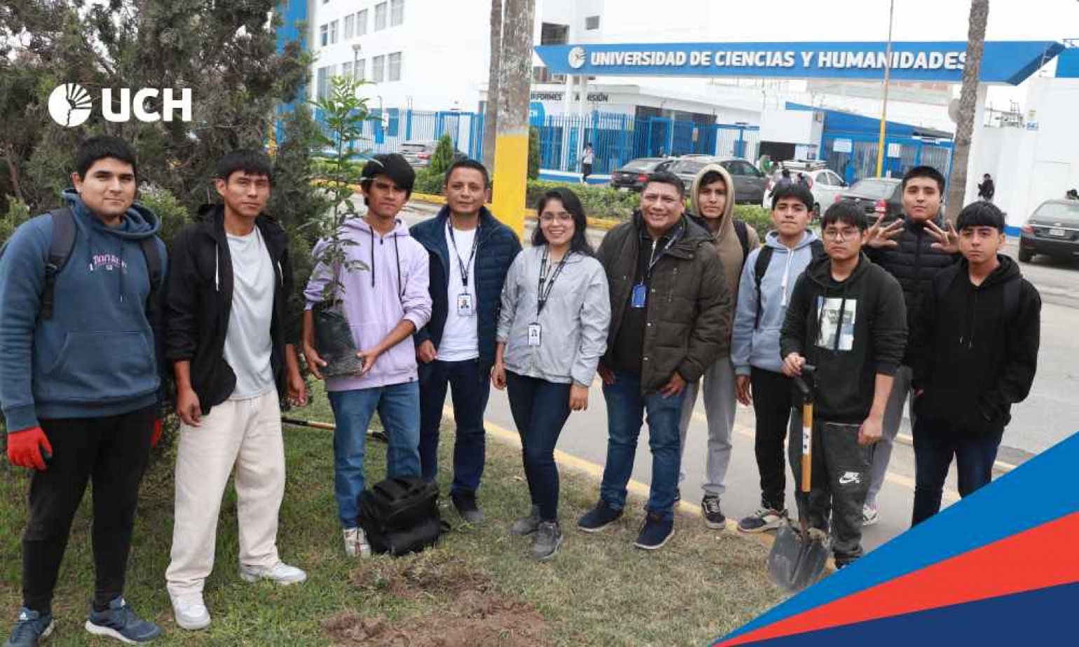 Sembrando juntos: Voluntarios arborizaron calles de Los Olivos