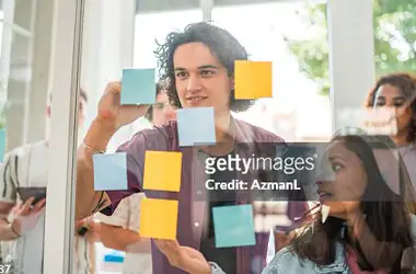 Estado, empresa privada, ONGS