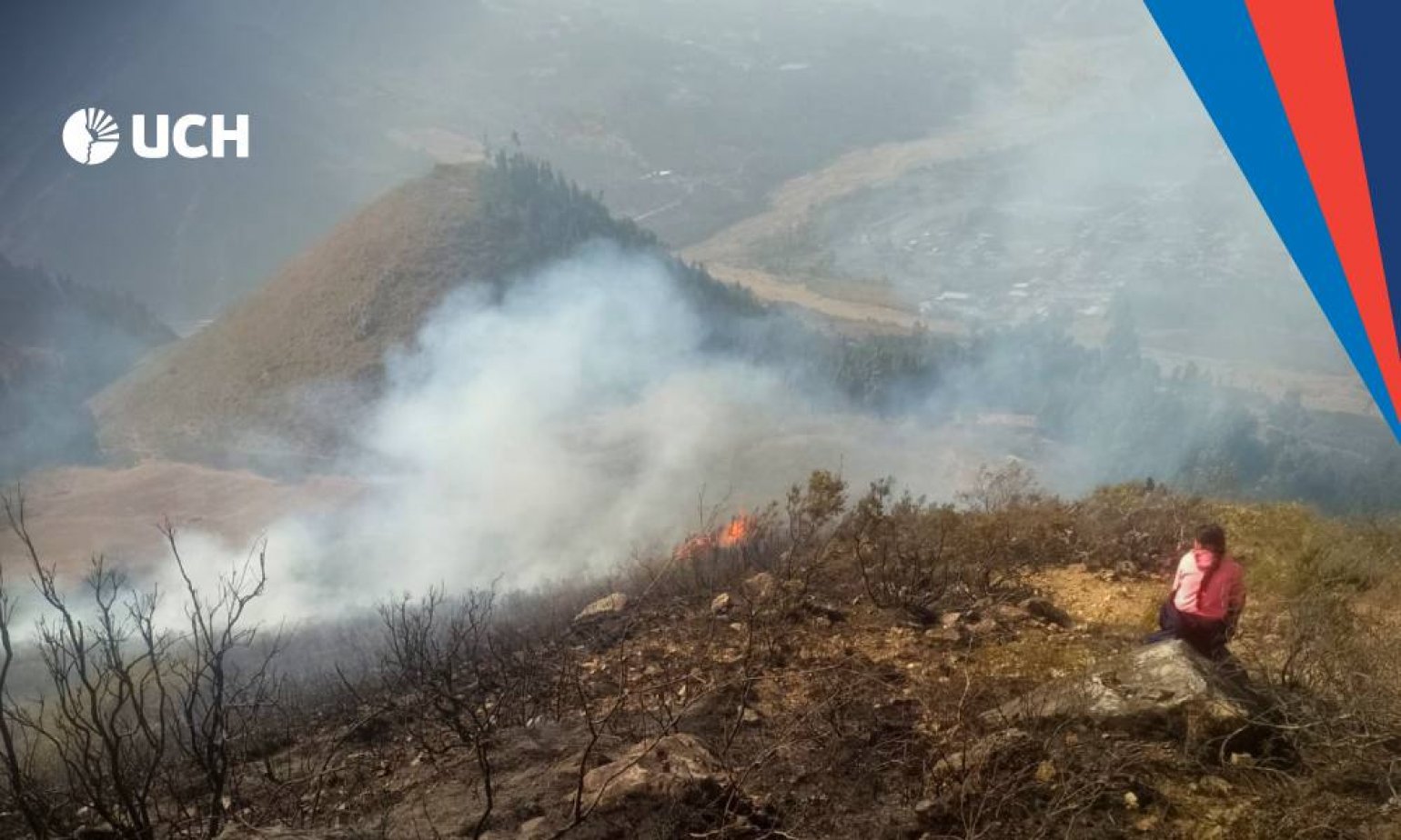 Reflexiones ante los incendios forestales: una huella devastadora en el país