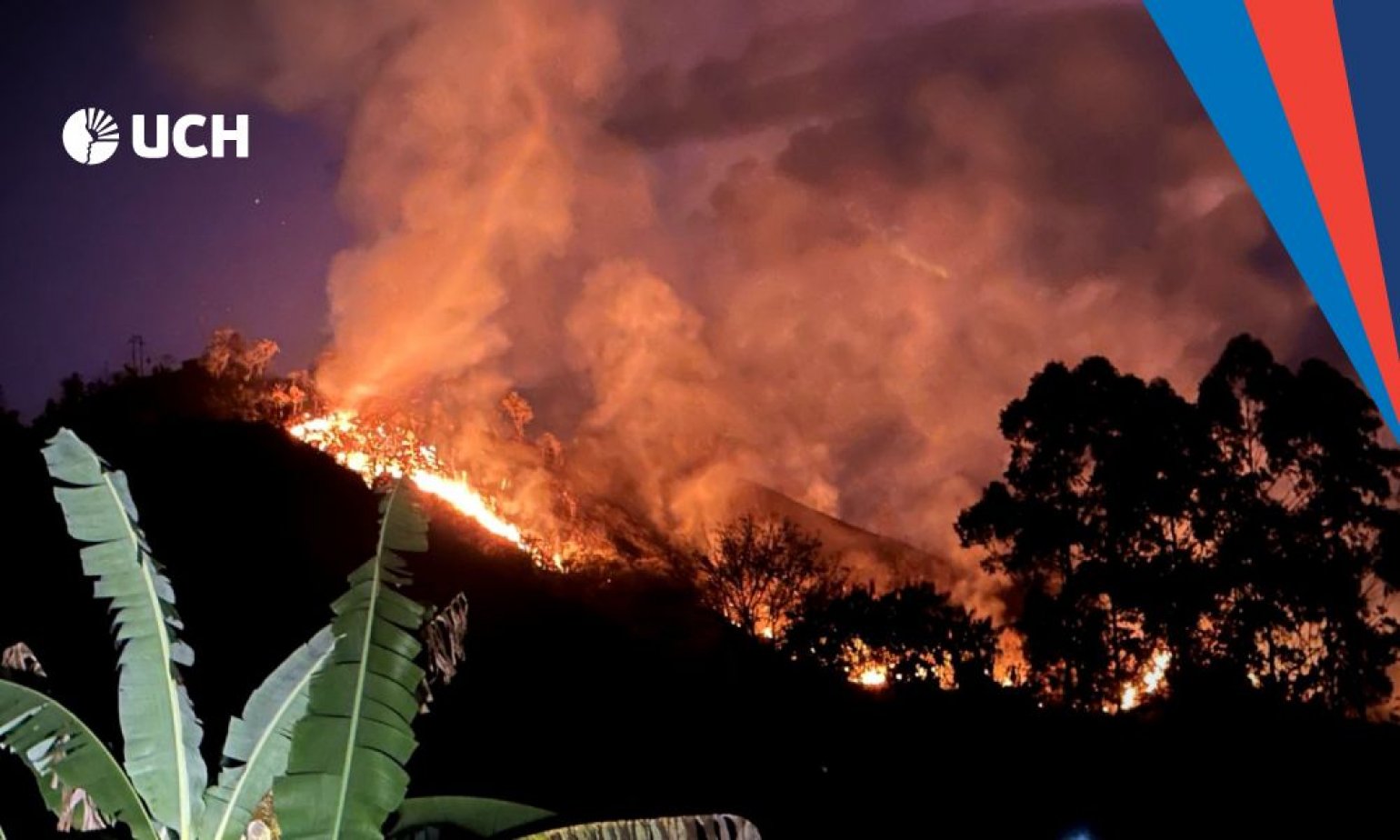 Impacto de los incendios forestales en Sudamérica: una crisis ambiental que nos afecta a todos
