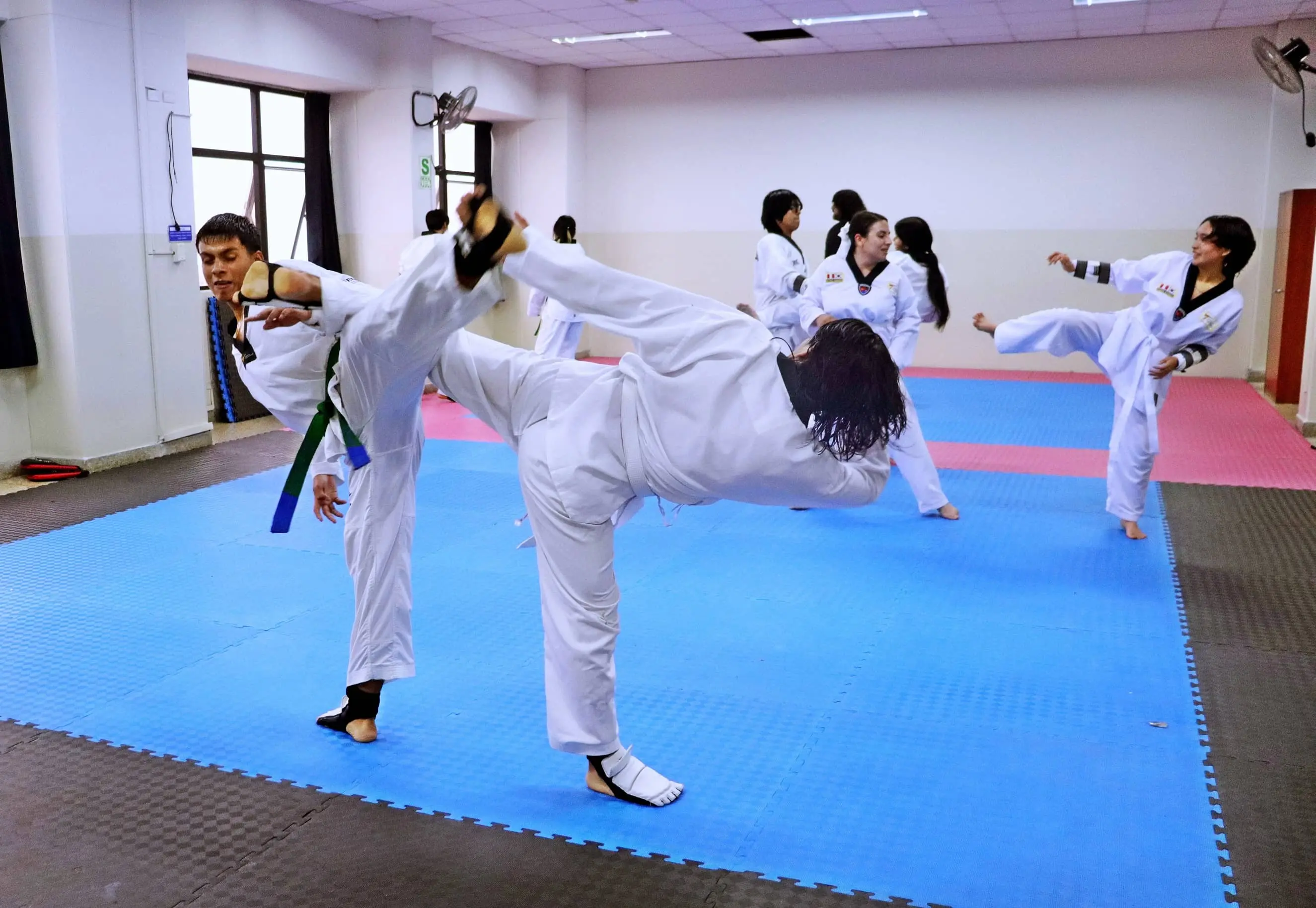 Taekwondo