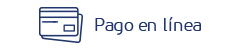 Pago en línea