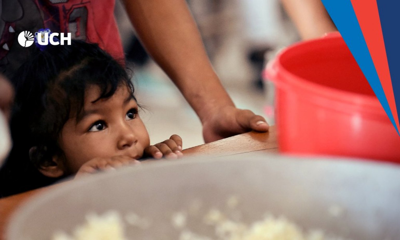Desnutrición crónica infantil en el Perú: ¿Cómo afecta en el desarrollo de los más vulnerables?