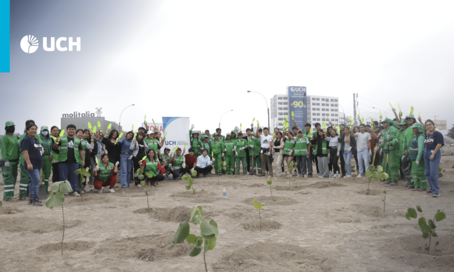 Voluntarios UCH participaron en masiva campaña de arborización