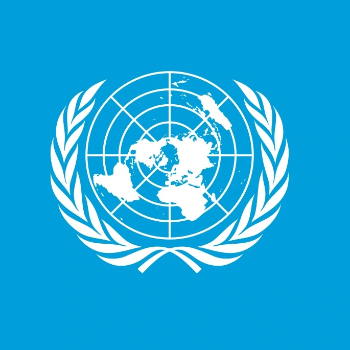 Pasantía ONU