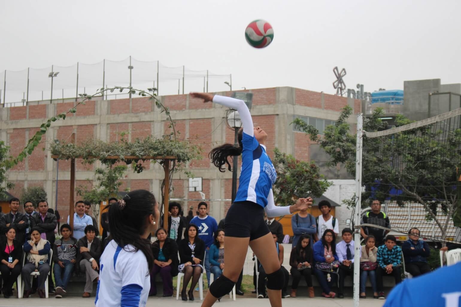 Selección de voley UCH